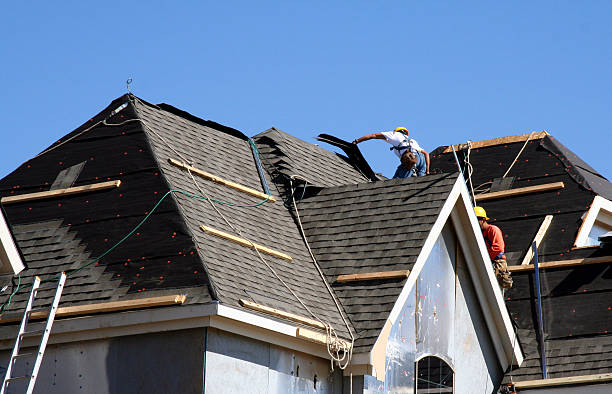 Best Roof Gutter Cleaning  in Eagle, NE